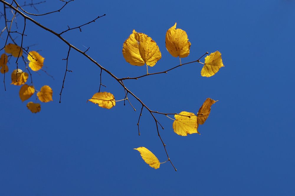 Photograph by Олеся Кучерова