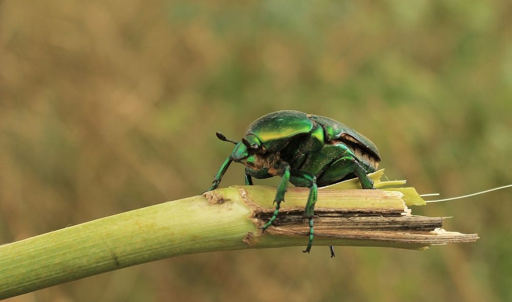 Photograph by Sergey Velichko