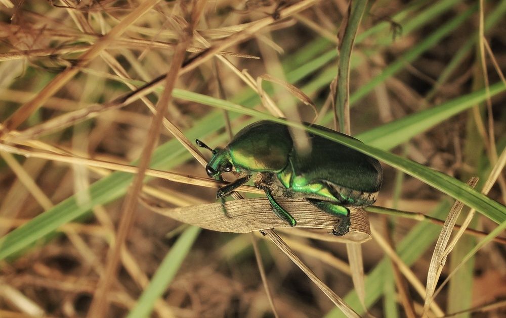 Photograph by Sergey Velichko