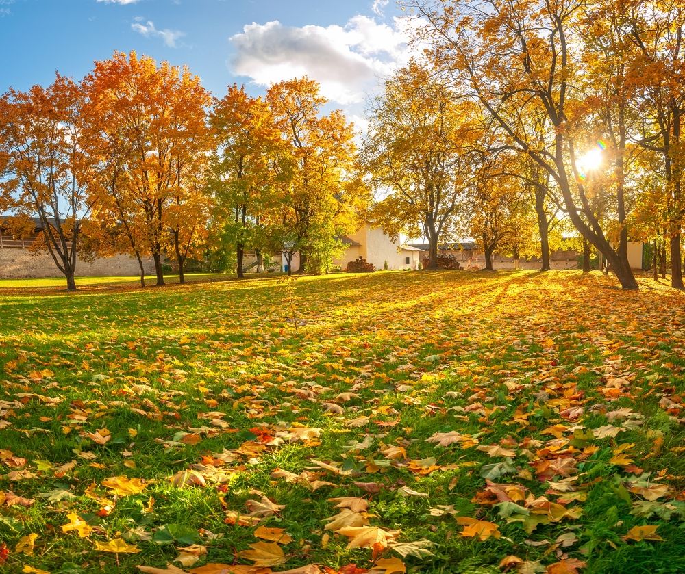 Photograph by Roman Dmitriev