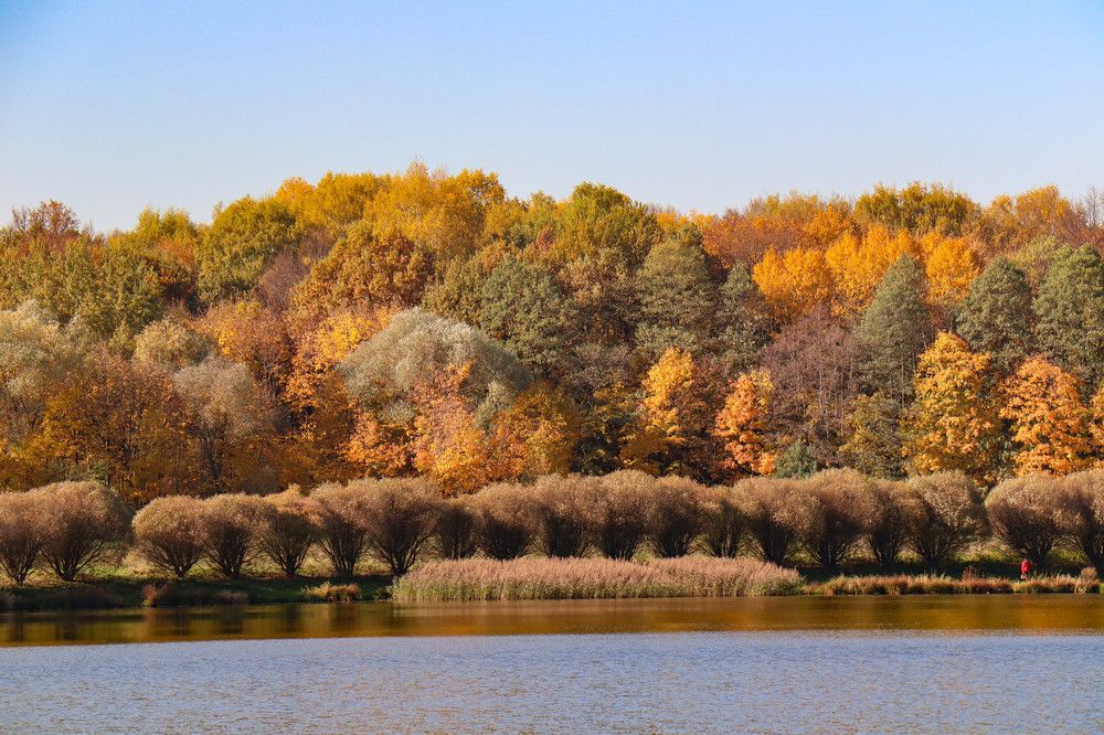 Photograph by Екатерина Воробьева