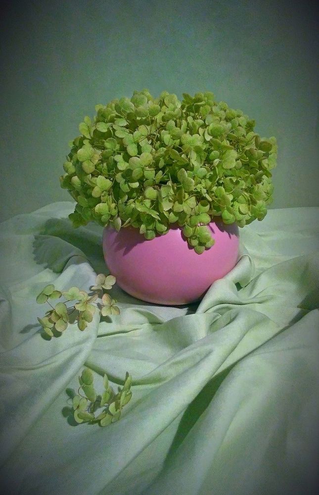 Photograph by Виолетта Рябова