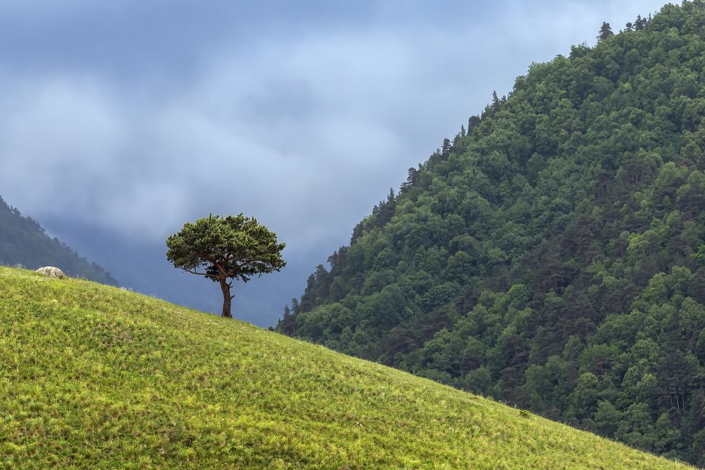 Photograph by Ярослав Лукьянов