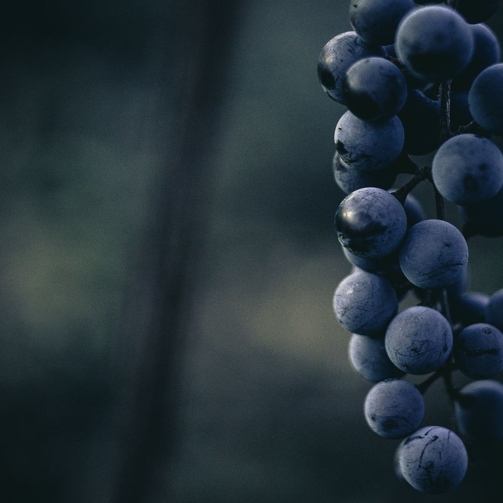 Photograph by Вероника Янина