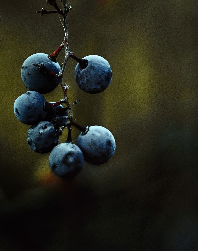 Photograph by Вероника Янина