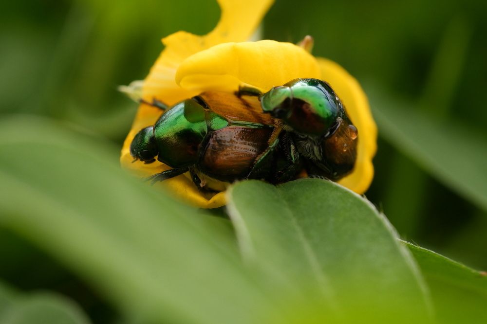 Фотография автора R. Zai