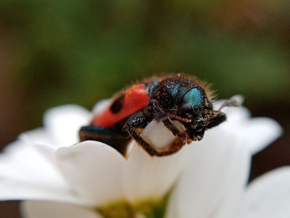 Photograph by Александра Лукашевич