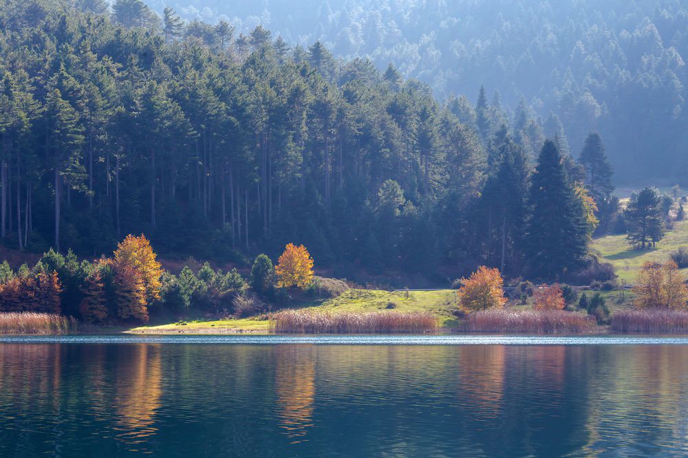 Photograph by TETYANA LYAPI