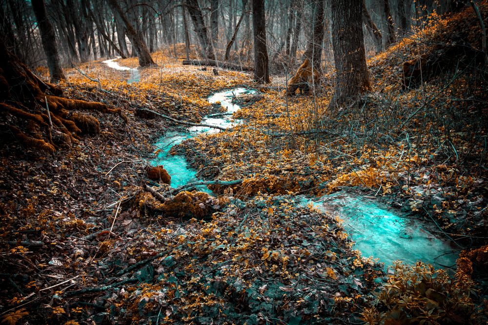 Photograph by Максим Салихов