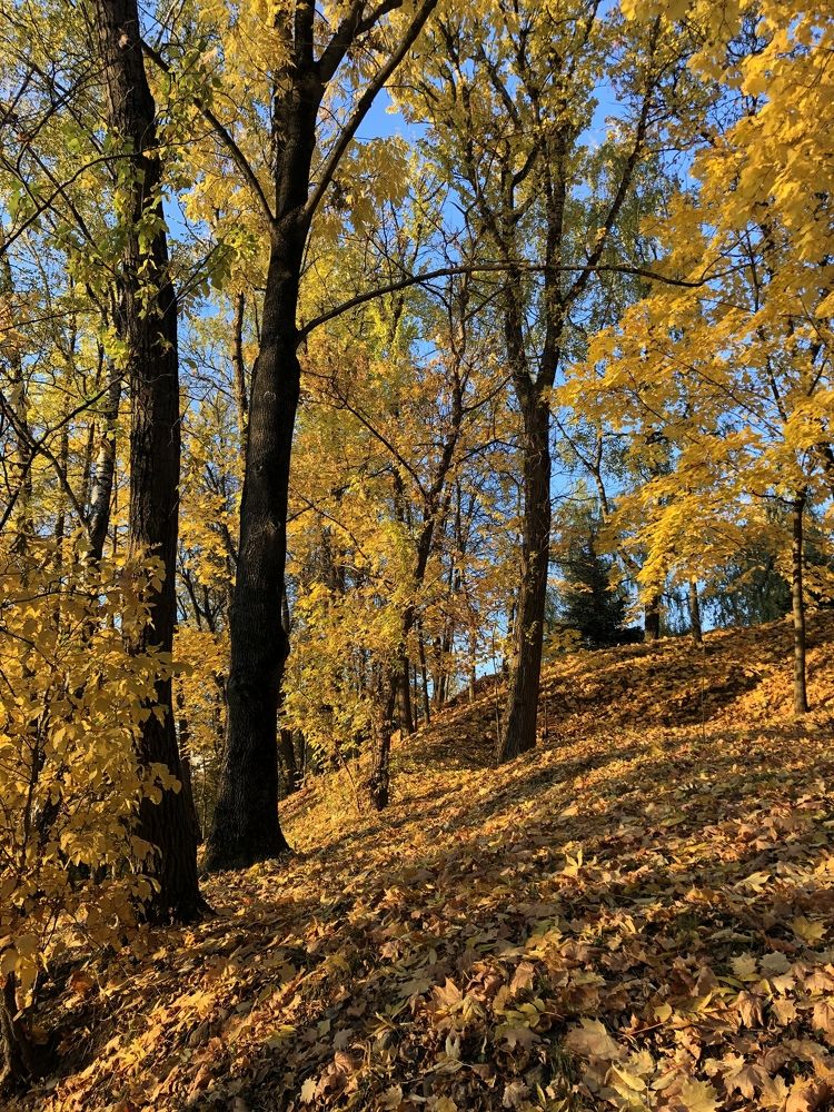 Photograph by Юлия