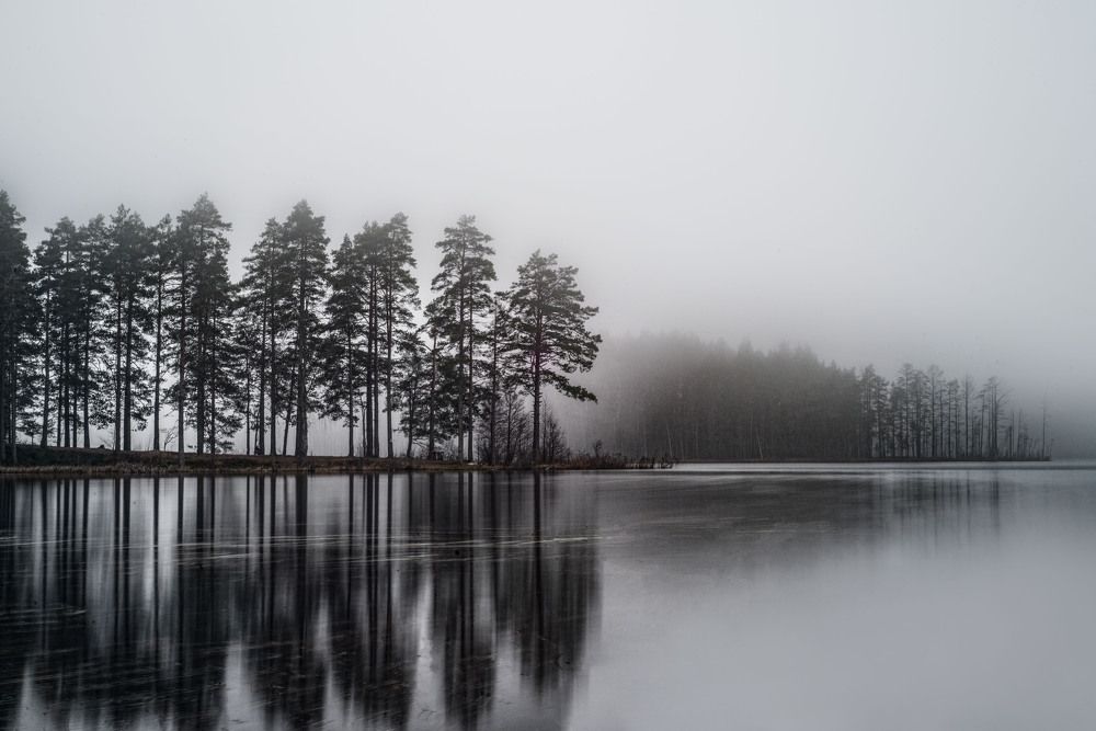 Photograph by Михаил Четвертков