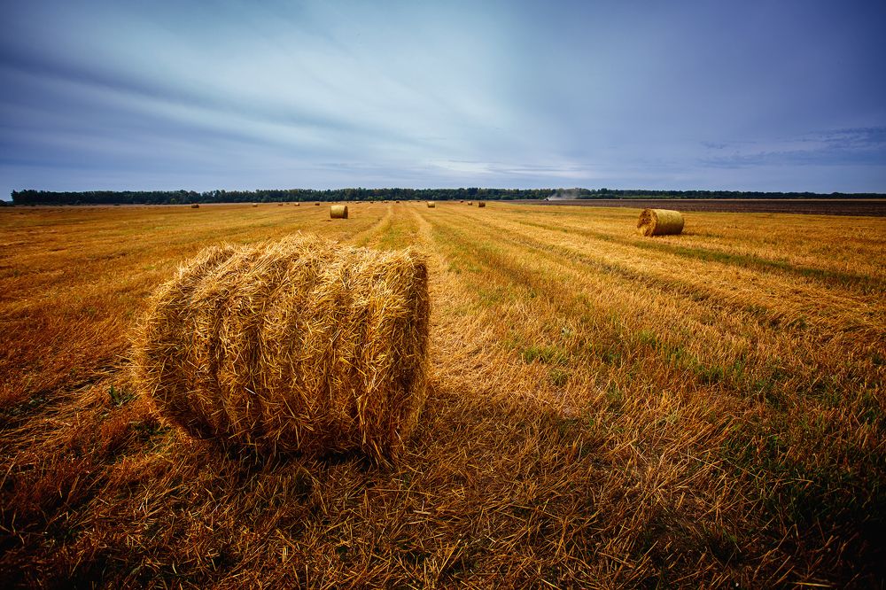 Photograph by Алексей Трифонов