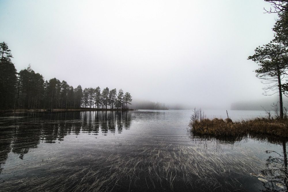 Photograph by Михаил Четвертков