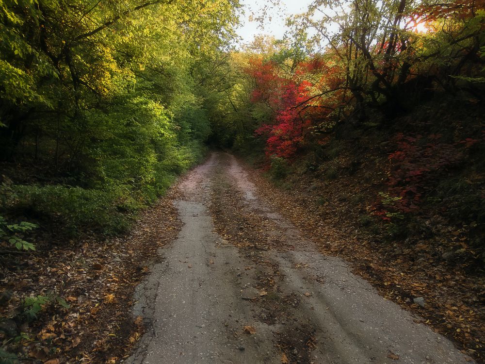 Photograph by Сергей Черкасов