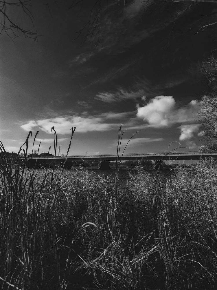 Фотография автора Юлия Гантимурова