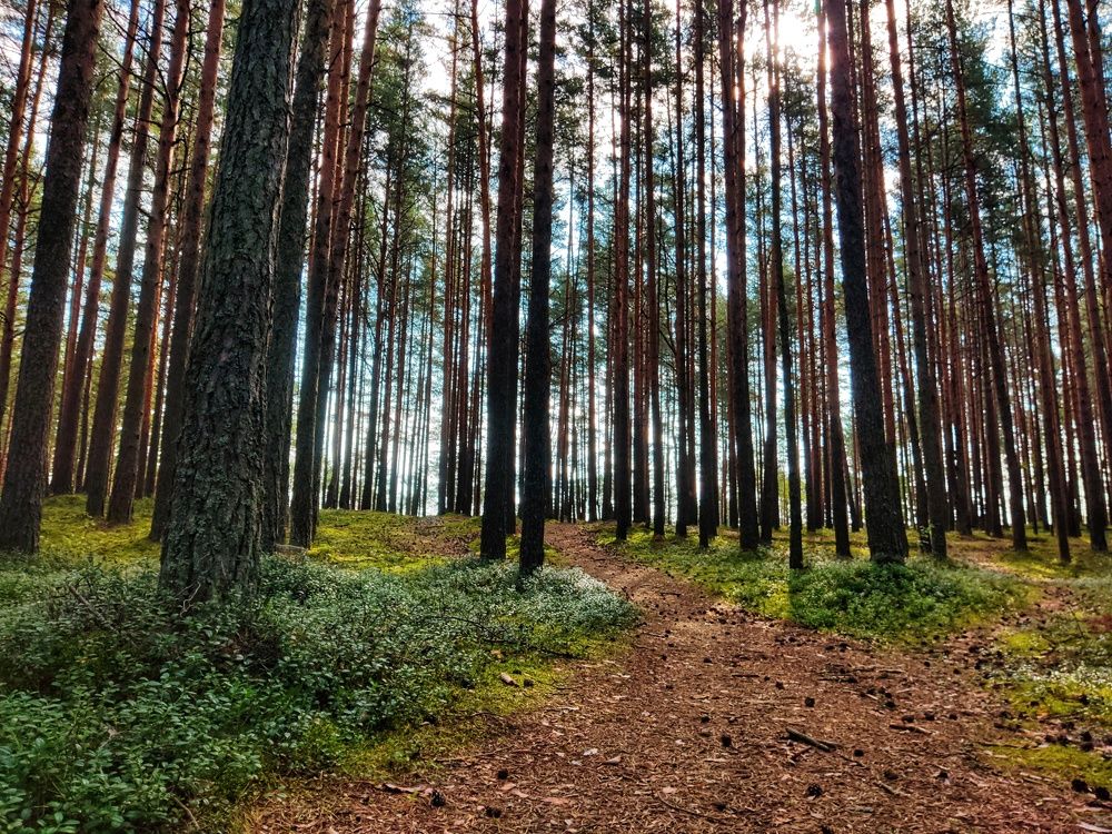 Photograph by Anastasia Uraeva