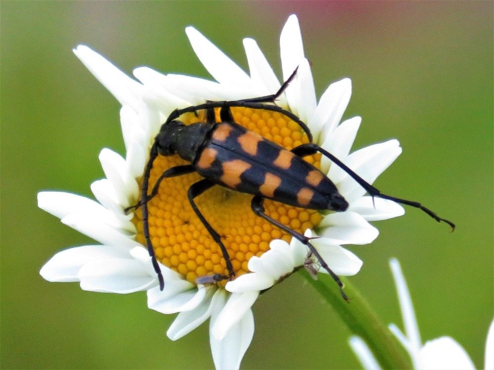 Photograph by Людмила Кононова