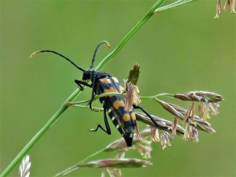 Photograph by Людмила Кононова