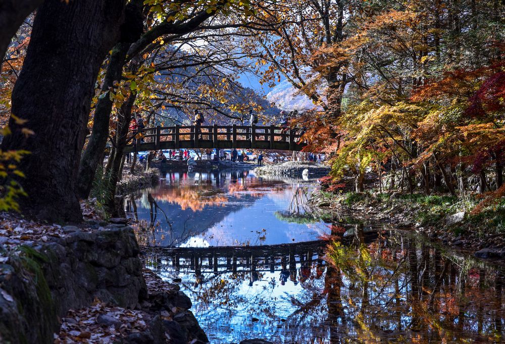 Photograph by Myunggyu Bae