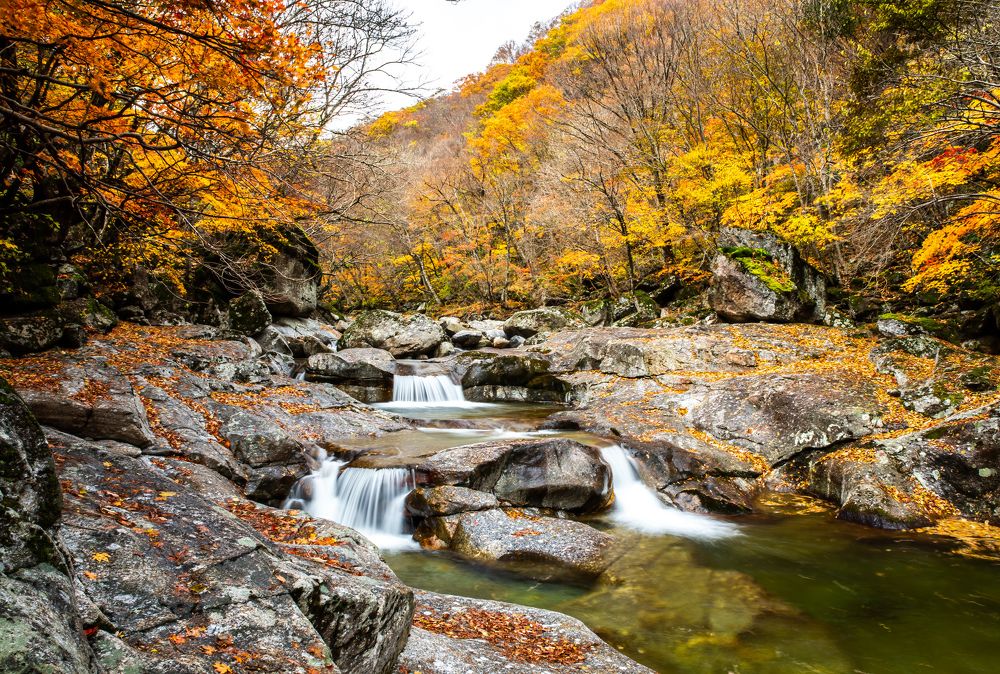 Photograph by Myunggyu Bae