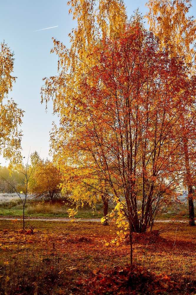 Photograph by Голованов Николай