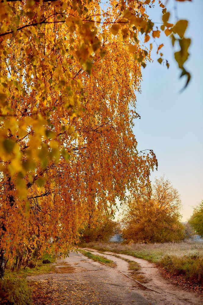 Photograph by Голованов Николай