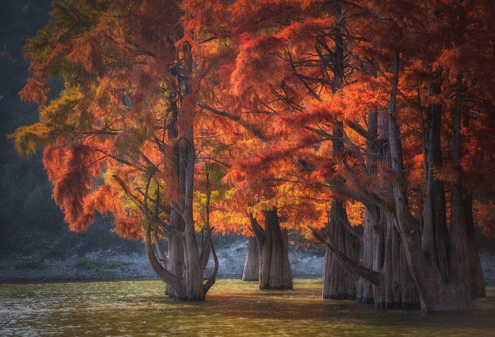 Photograph by Павел Сагайдак