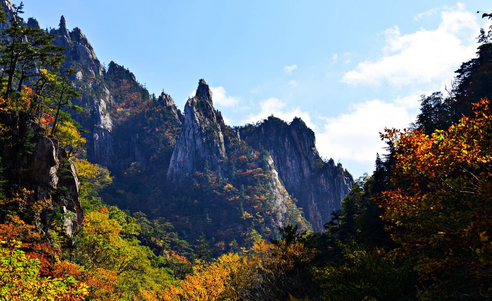 Photograph by Myunggyu Bae