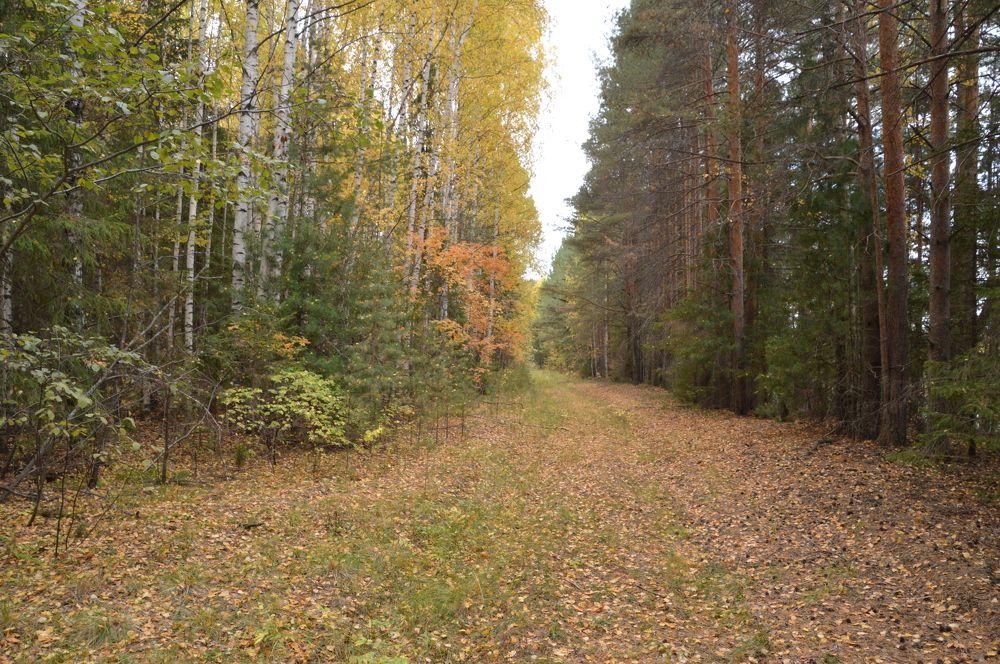 Photograph by Андрей Елькин