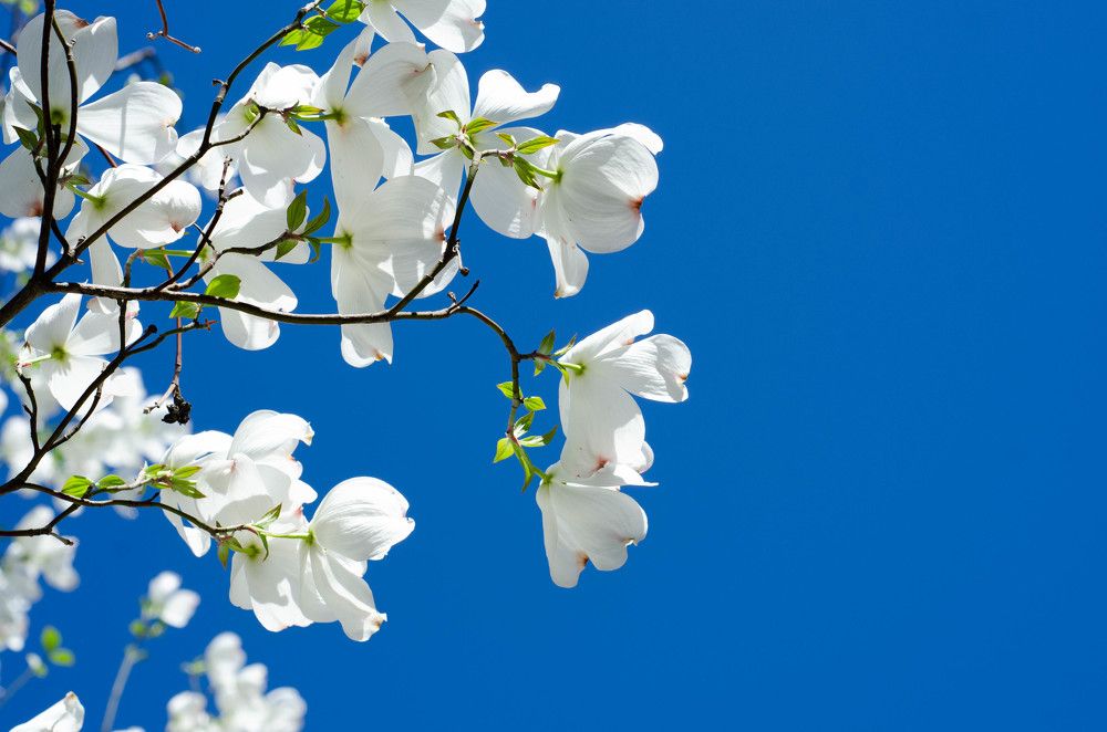 Photograph by Анастасия Кашенко