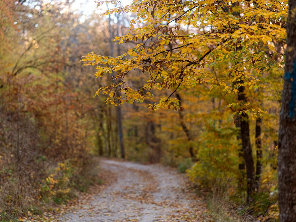 Photograph by Оксана Корниенко