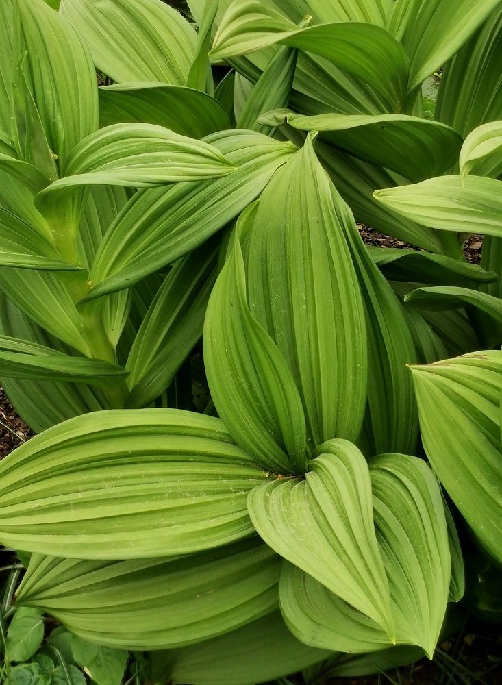 Photograph by Palina Mikhailouskaya