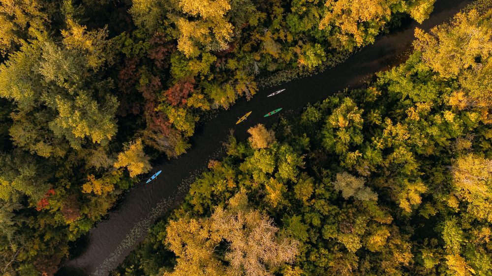 Photograph by Марина Скворцова