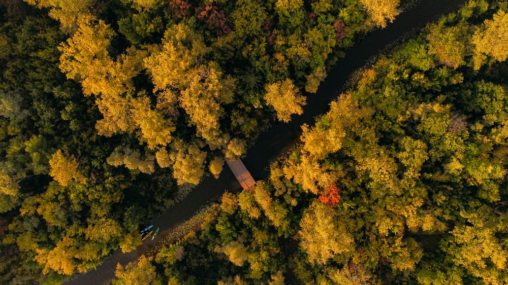 Photograph by Марина Скворцова