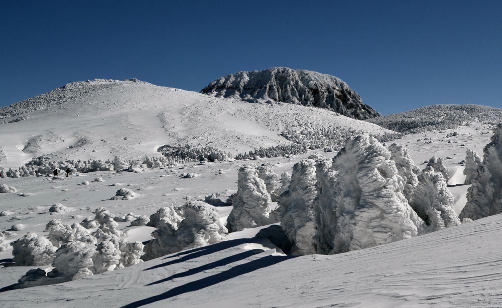 Photograph by Myunggyu Bae