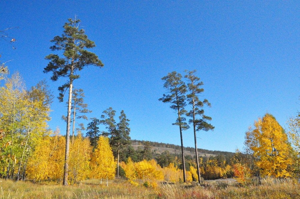 Photograph by Александра Пухкалова