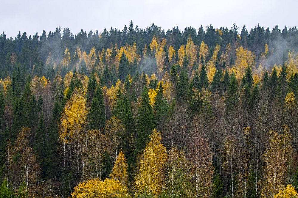 Photograph by Игорь Круглов