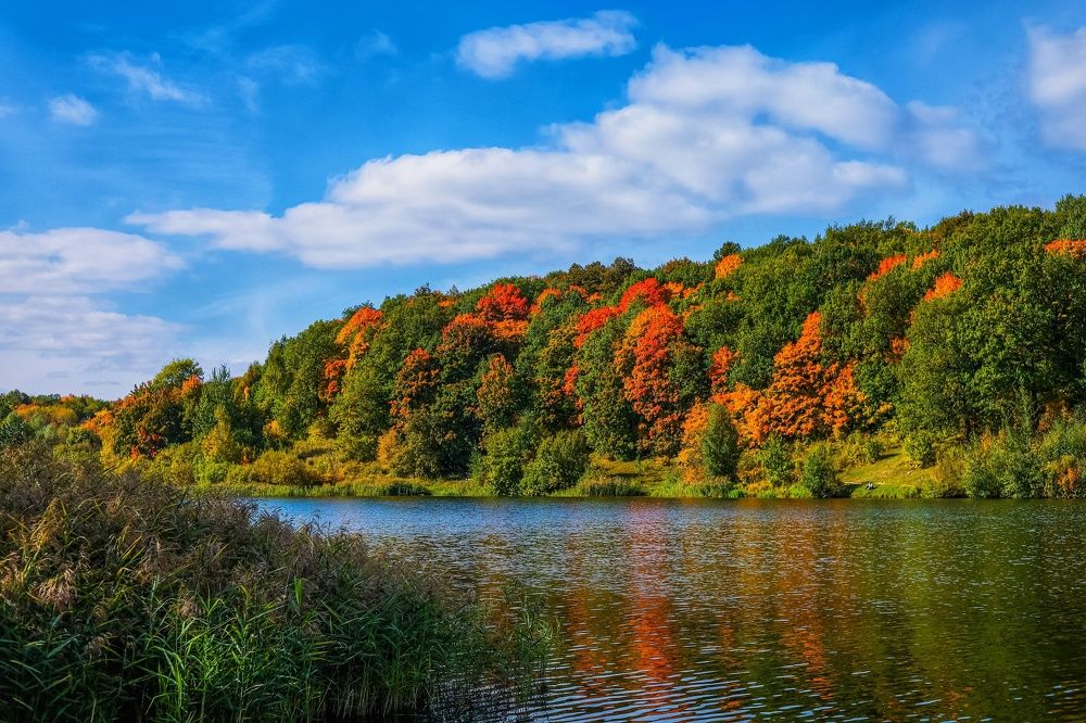 Photograph by Паша Савельев