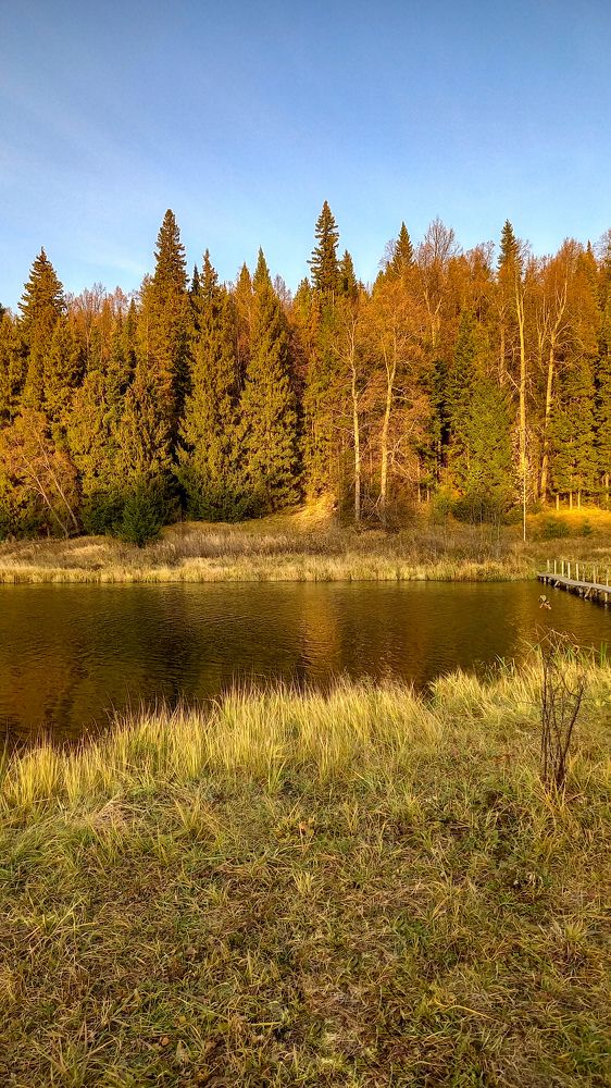 Photograph by Альбина Муртазина
