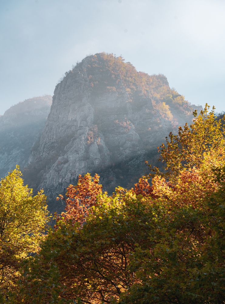 Photograph by Ani Yordanova