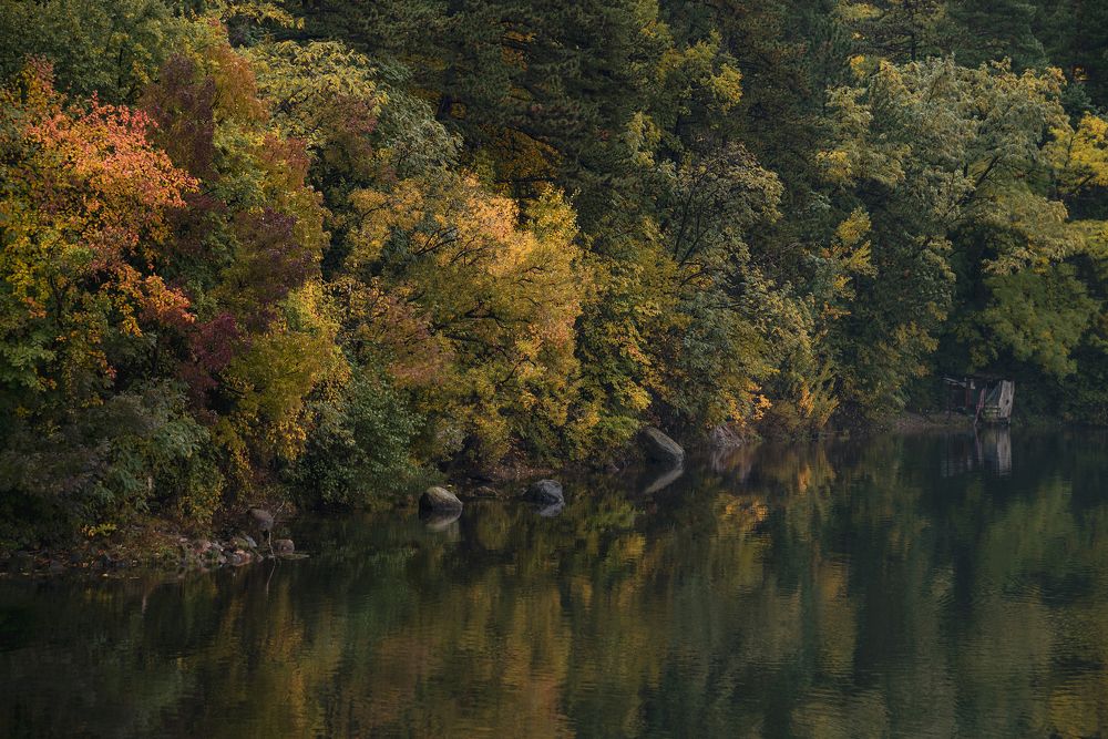 Photograph by Ani Yordanova