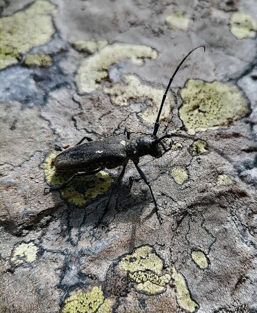 Photograph by Алексей Патлах