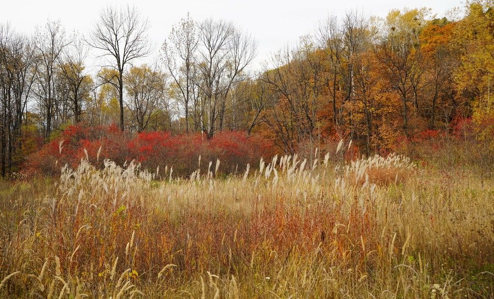 Photograph by Ирина Гаврилова
