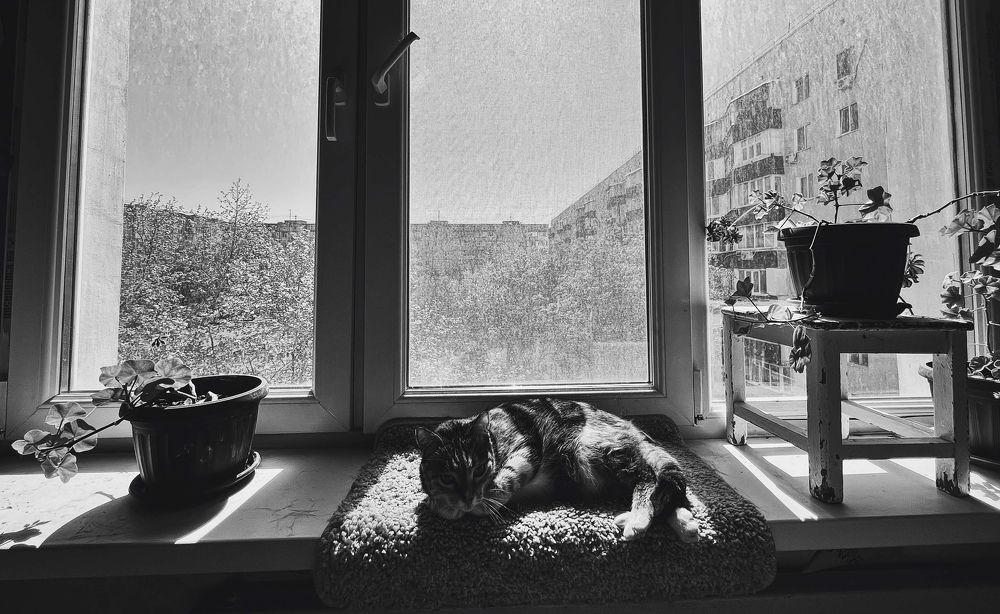 Photograph by Антонина Наговицына