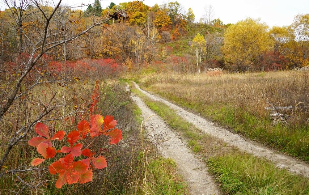 Photograph by Ирина Гаврилова