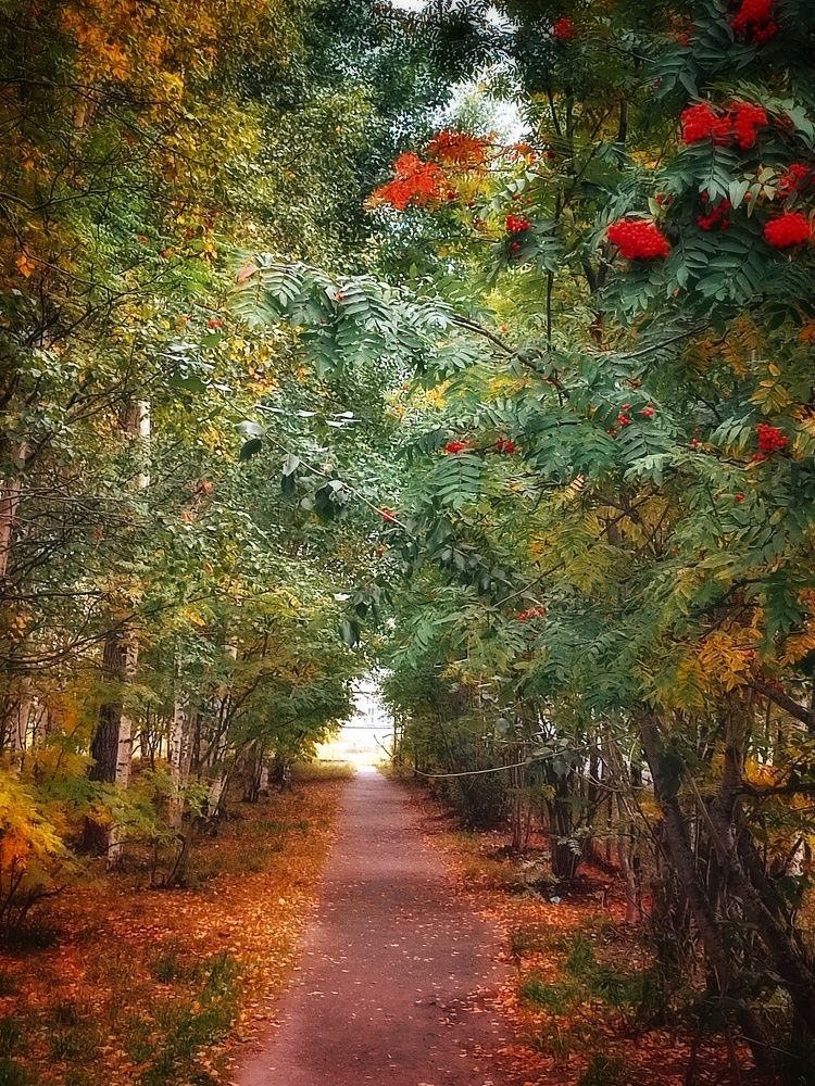 Photograph by Елена Дегтяренко