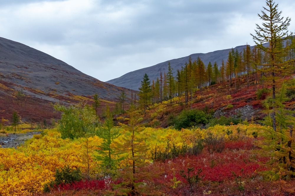 Осенние Путораны.