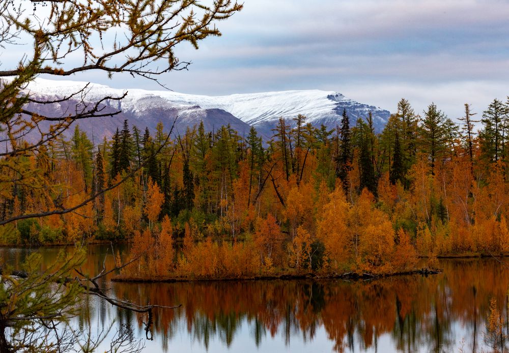 Два сезона.