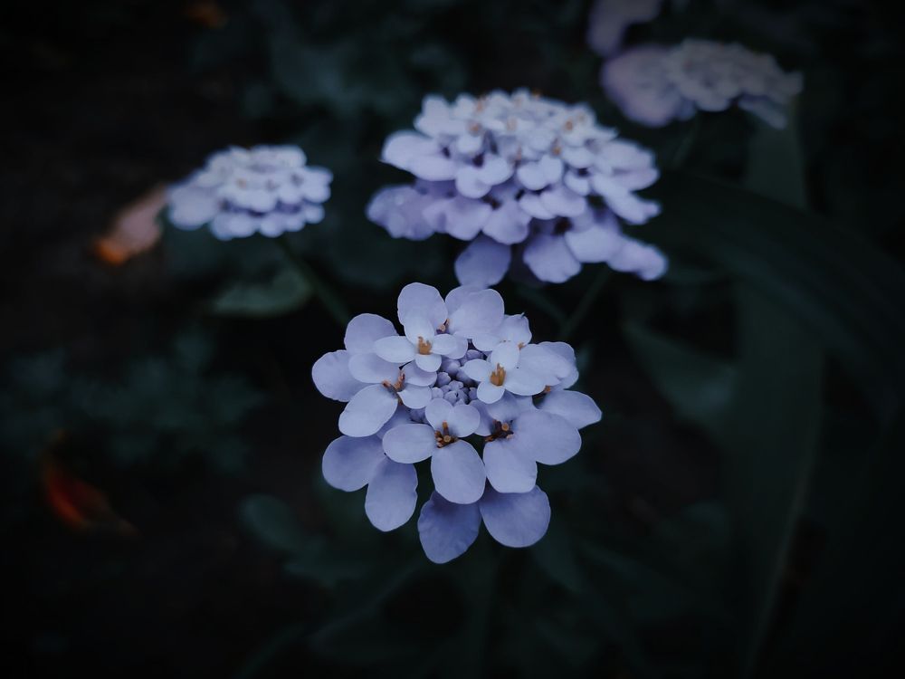 Photograph by Ирина Половцева