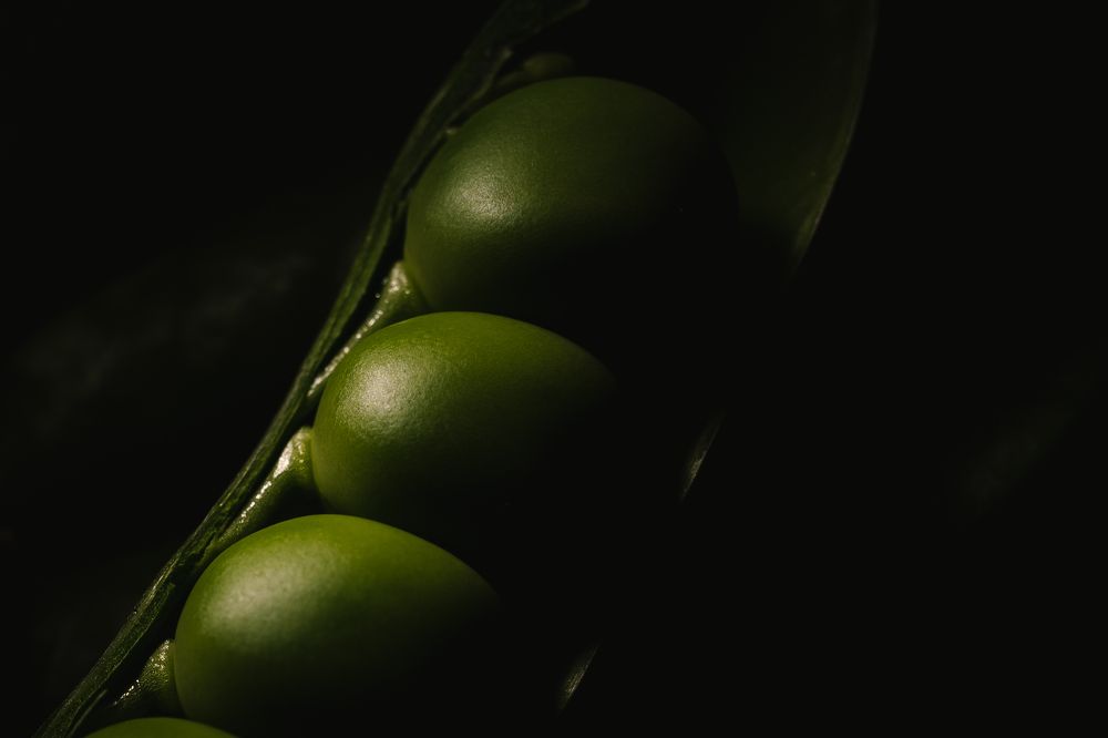 Photograph by Александр Поданев